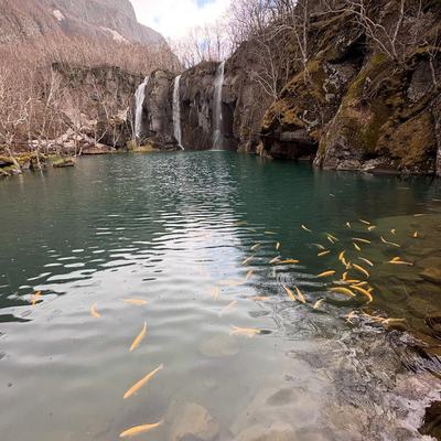 Pictures from Changbai Mountain! I didn’t test it but if I read the signs right, if you aim for the top spot on the urinal it’ll send your data to a hospital and you can get a health report. I haven’t seen anything like it since. China!