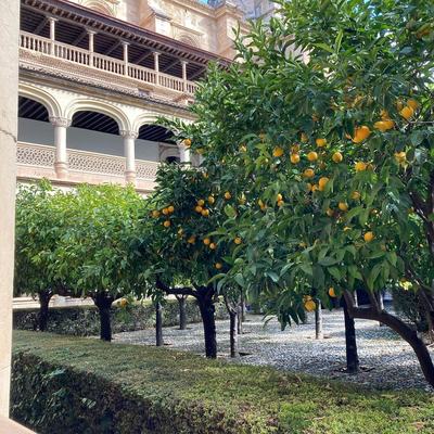 Spain in November