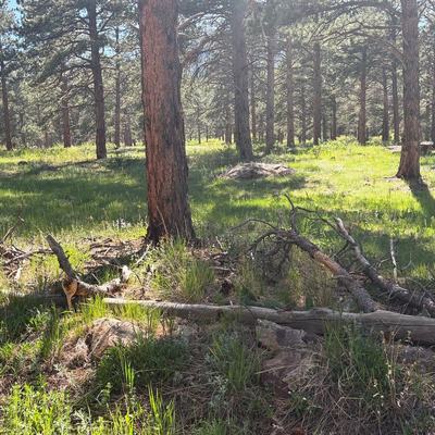 Boulder was beautiful! Currently in NY, probably next posts will feature Greece. Picked up a vlogging camera so some POV shots may be incoming
