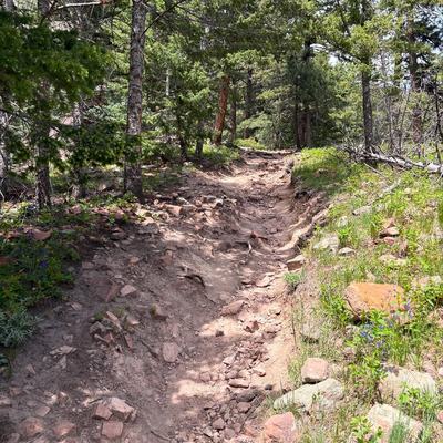 Boulder was beautiful! Currently in NY, probably next posts will feature Greece. Picked up a vlogging camera so some POV shots may be incoming