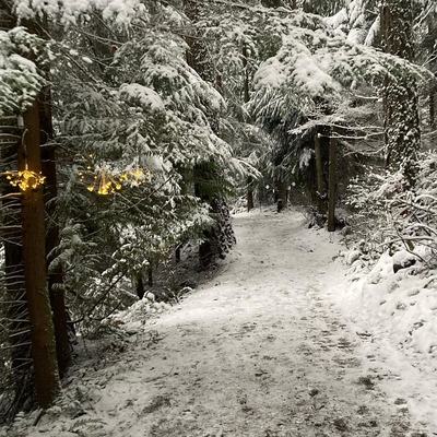 Photos from the past year
