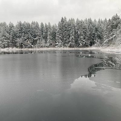 Photos from the past year