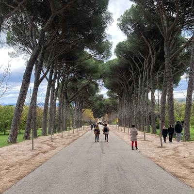 Spain in November
