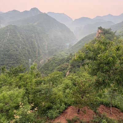 Bunch of photos from the Great Wall. I believe the part of it we did was West Mutianyu which is a newer one. Took 2 hours to get to from Beijing but it was super quiet without crowds so definitely worth it.

Got to hang out with an Austrian couple and Spanish guy as we went along the wall. They built a water slide near the wall (couldn’t see the wall when you were on it) so we rode on that too and did some kayaking. The Chinese love to make everything an amusement/theme park which can be fun and