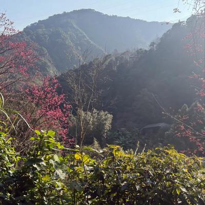新年快樂！