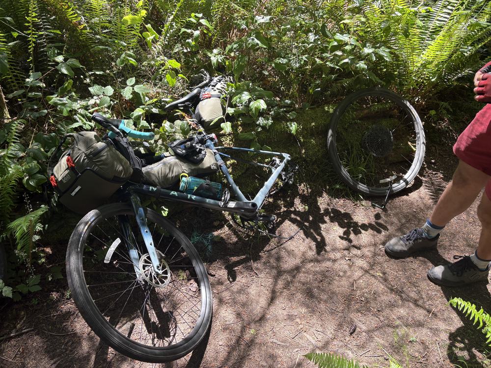 Trailside Bike Repair