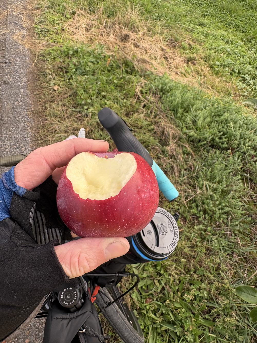 Fresh Apple!