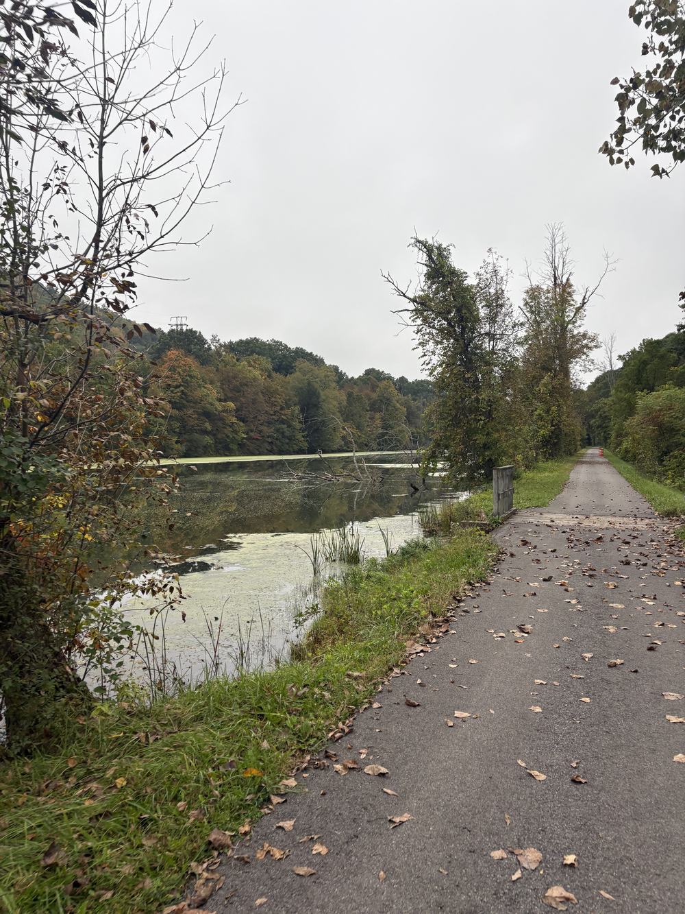 Canalside