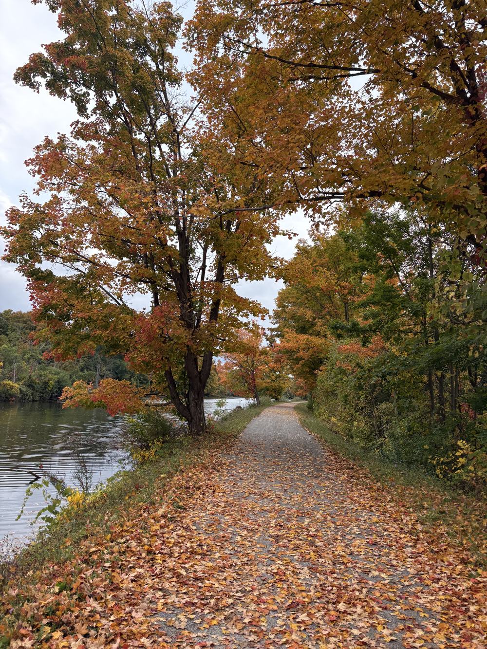 Fall Colors on Trail