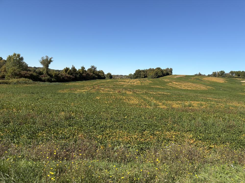 Rural NY