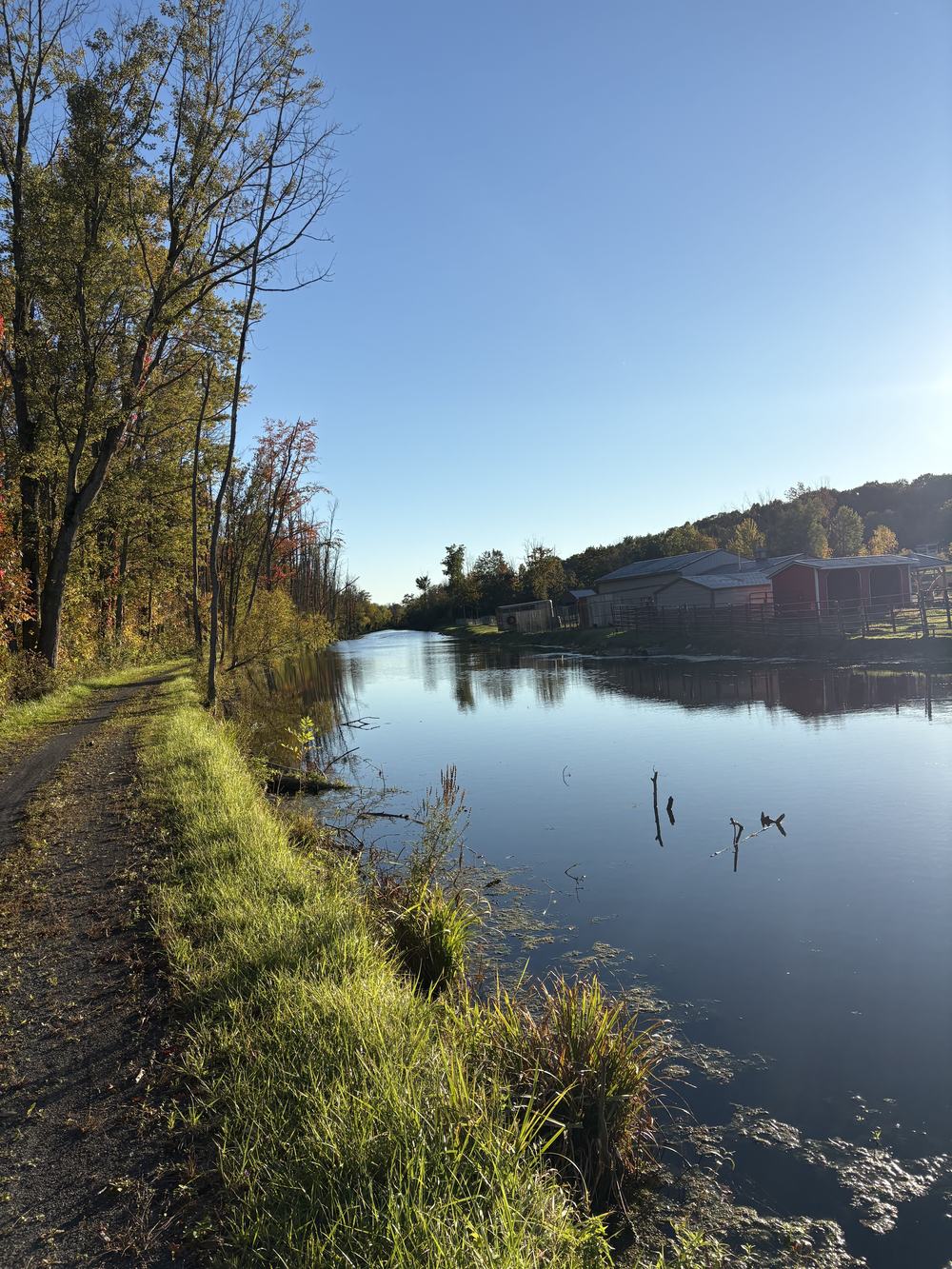 Canalside Erie Canal