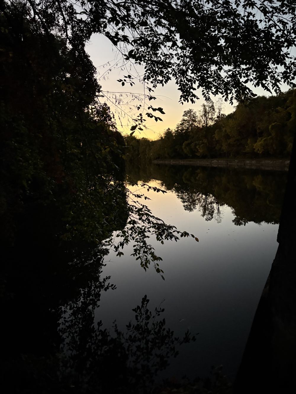 Camping spot in Lyons, NY